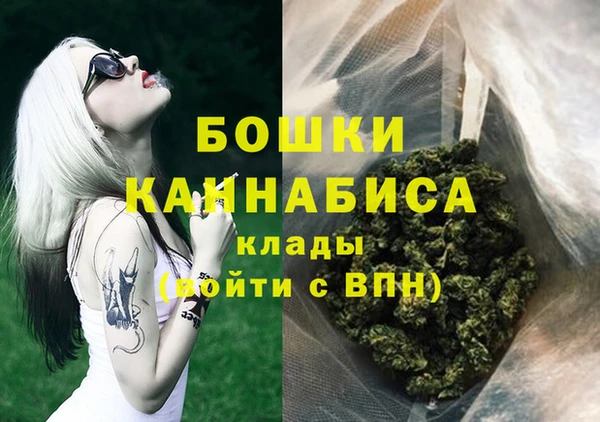 прущий лед Нея