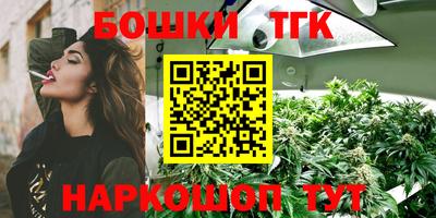 шишки Краснознаменск