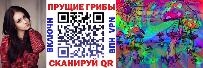 Галлюциногенные грибы Psilocybine cubensis Ставрополь