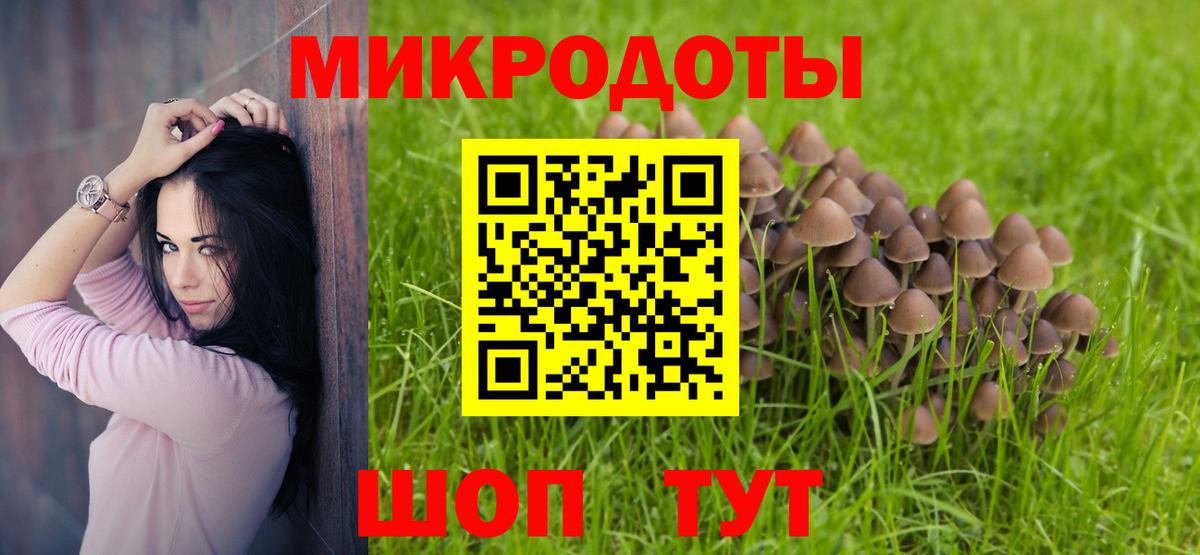Галлюциногенные грибы прущие грибы Ставрополь